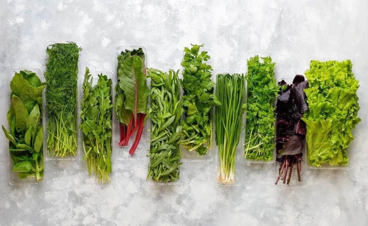 Zelenje koje je korisno davati djeci